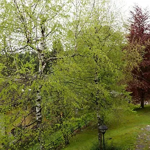  Appartamento Relax Sull'altopiano Di Asiago